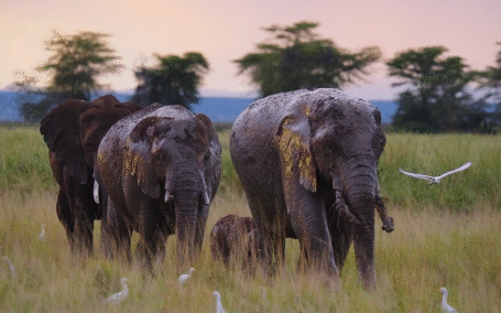 Bild von Kenya Tourism Board