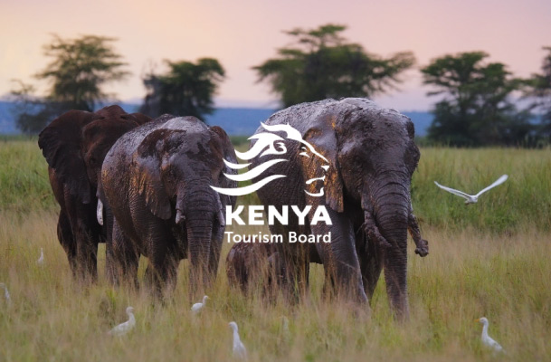 Elephants and birds in Kenya's nature and logo of Kenya Tourism Board